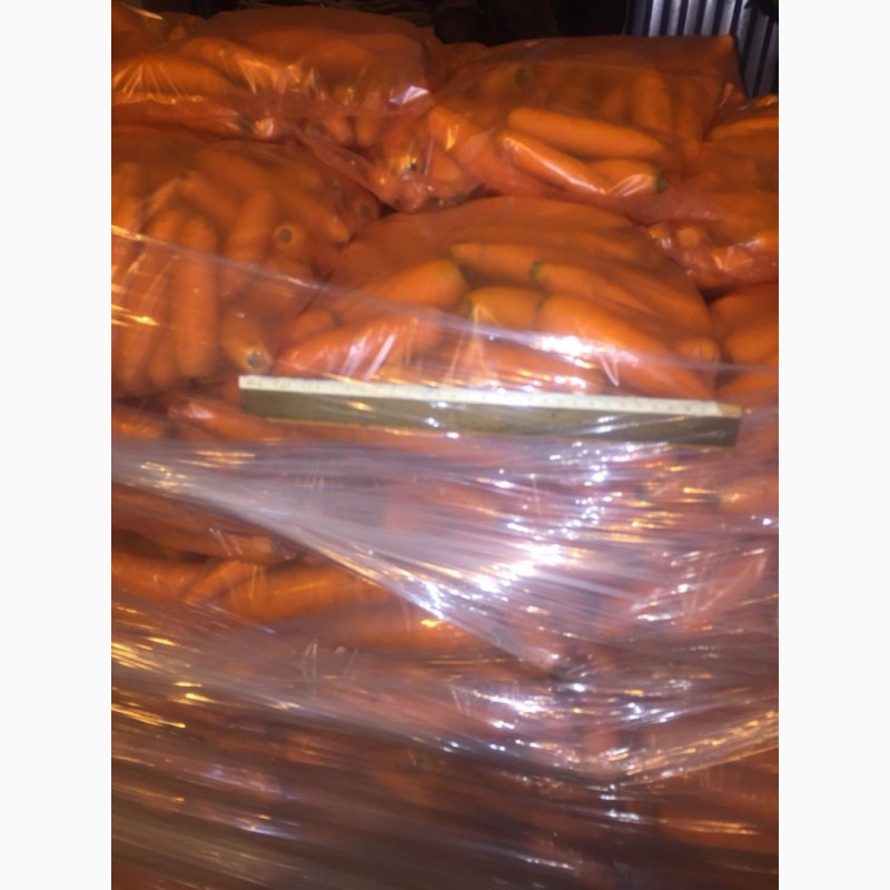 Фото 2. Продам морковь от производителя
