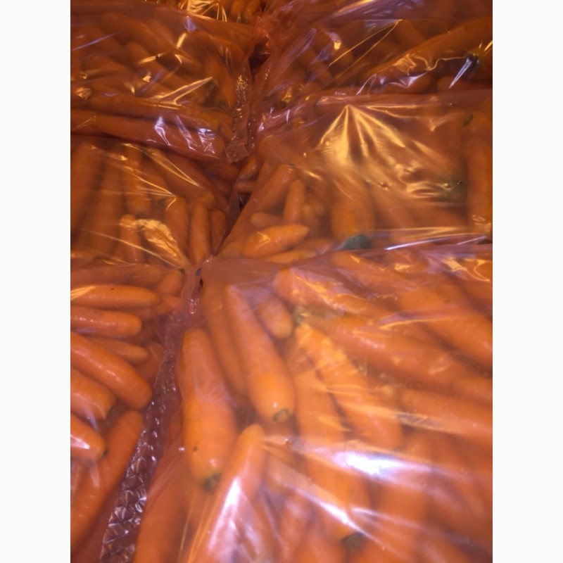 Фото 5. Продам морковь от производителя
