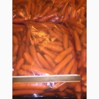 Продам морковь от производителя
