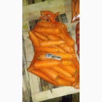 Продам морковь от производителя