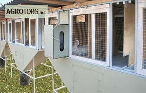Фото 3. Клетки для кроликов, минифермы. Производство, продажа