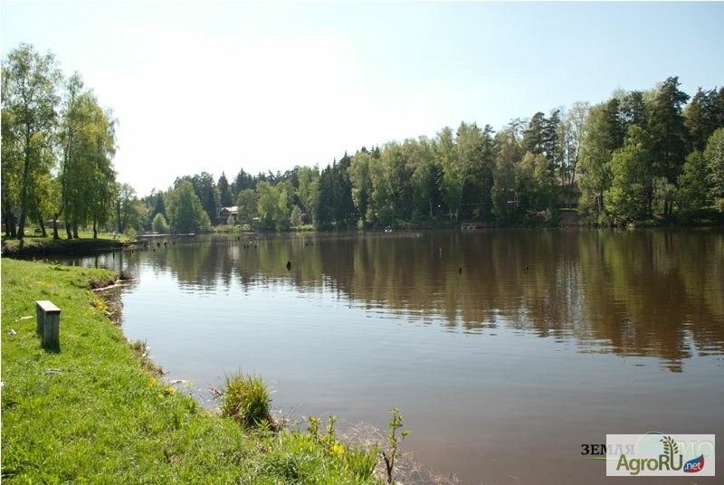 Фото 3. Земельный участок - ИЖС КП Дубрава у озера
