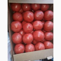Предлагаем помидоры оптом