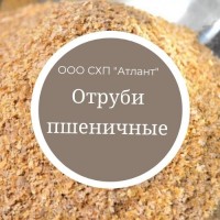 Отруби пшеничные, Красноярский край