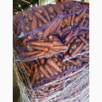 Морковь оптом урожай 2020 г. от производителя
