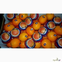 Апельсины сорт «Валенсия» калибр 48 и 88 Страна происхождения Египет.