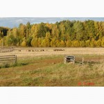 Продам животноводческую ферму (земля, строения, жилье) в 250 км от Москвы