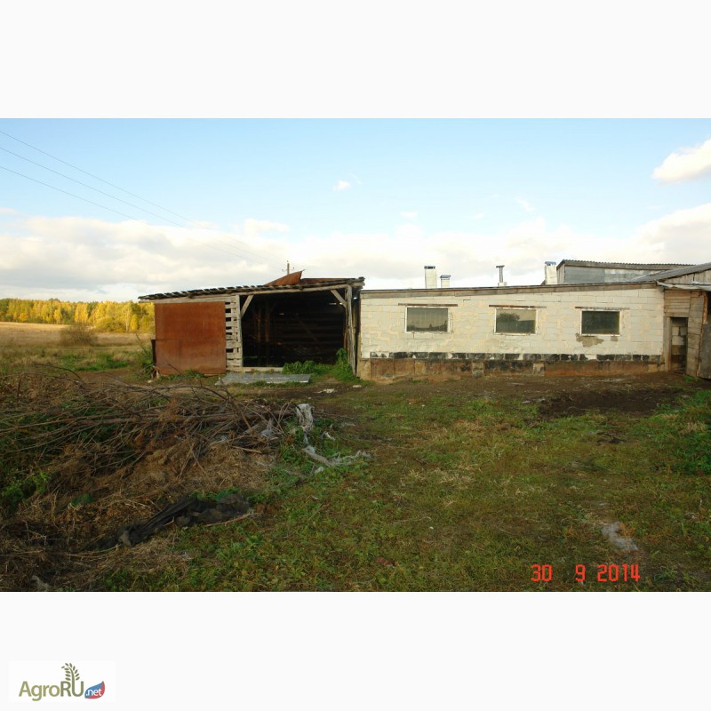 Фото 15. Продам животноводческую ферму (земля, строения, жилье) в 250 км от Москвы