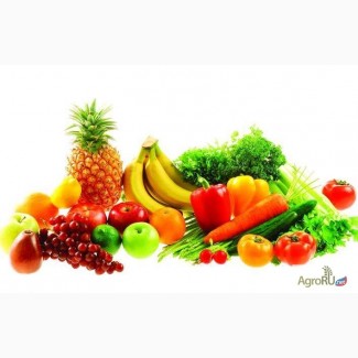 Предлагаем оптовые поставки овощей и фруктов из РБ