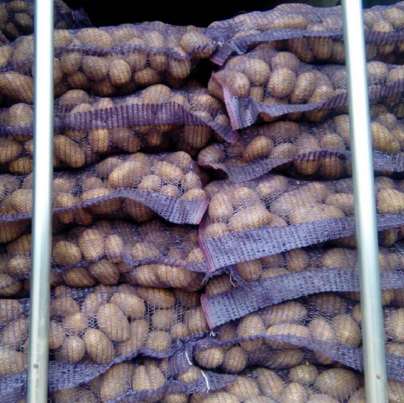 Фото 5. Картофель продовольственный Рогнеда 5+ от производителя РБ