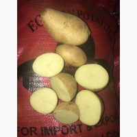 Картофель калиброванный со склада