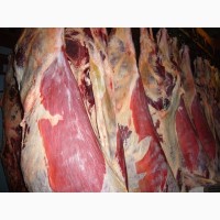 Предлагаем свинину и говядину 1-ой категории оптом в п/тушах от фермерских хозяйств
