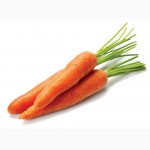 Оптовая продажа овощей ( картофель, морковь, свекла, лук, капуста)