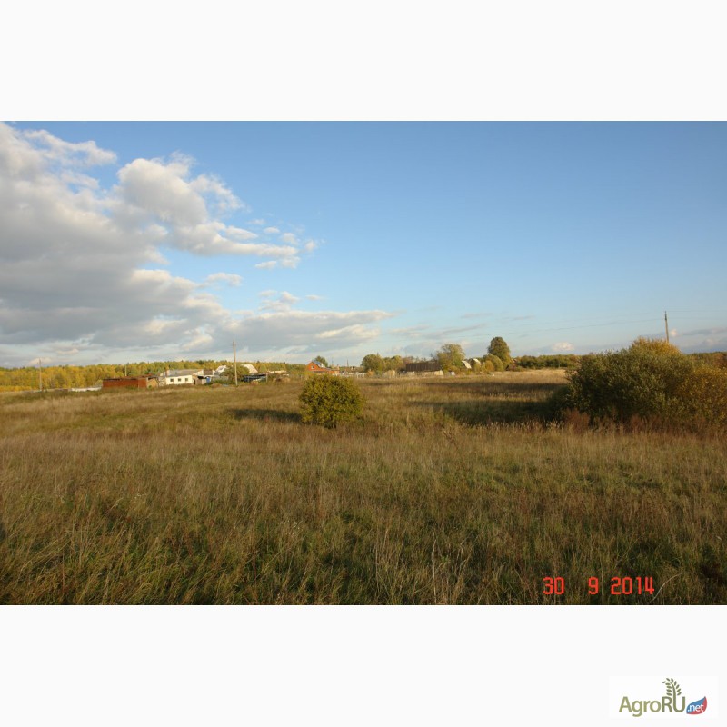Фото 10. Продается 90ГА земли сельхозназначения с мини-фермой и жилым домом в 250 км от Москвы