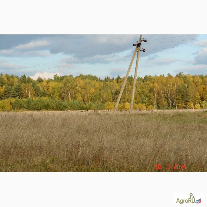 Фото 11. Продается 90ГА земли сельхозназначения с мини-фермой и жилым домом в 250 км от Москвы