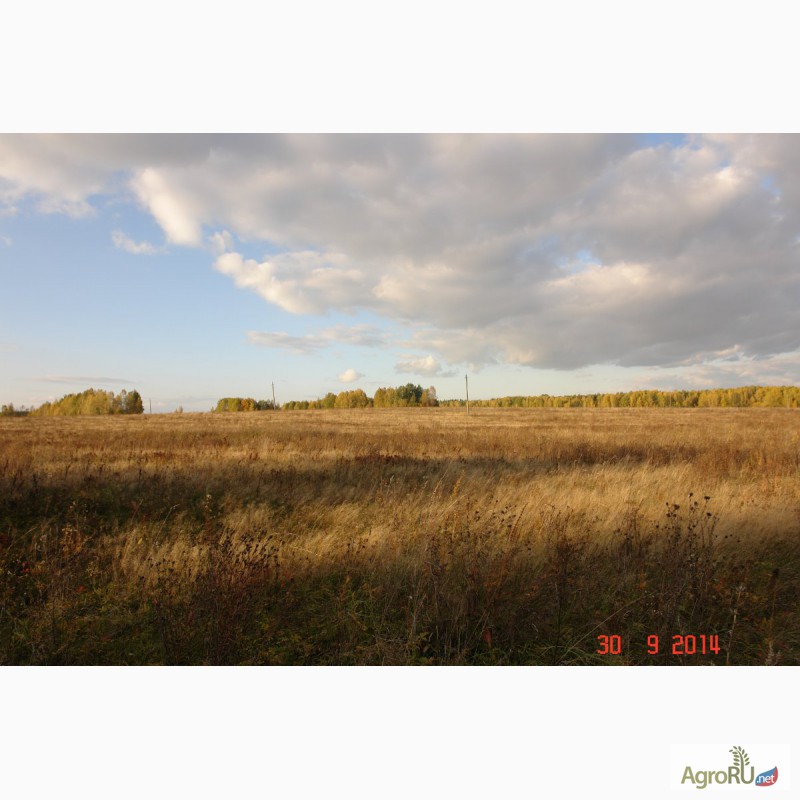 Фото 13. Продается 90ГА земли сельхозназначения с мини-фермой и жилым домом в 250 км от Москвы