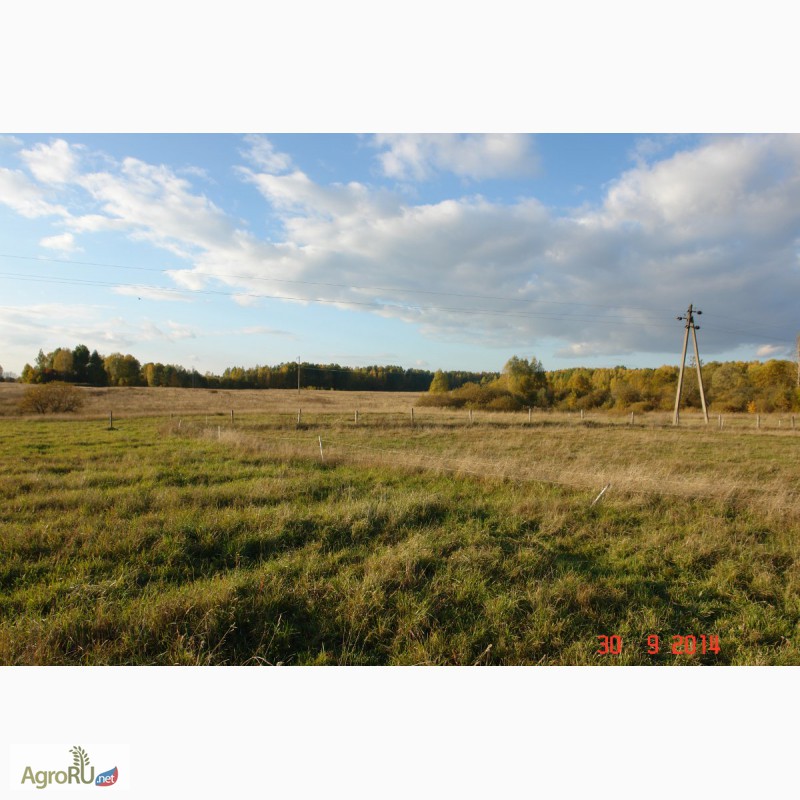 Фото 2. Продается 90ГА земли сельхозназначения с мини-фермой и жилым домом в 250 км от Москвы