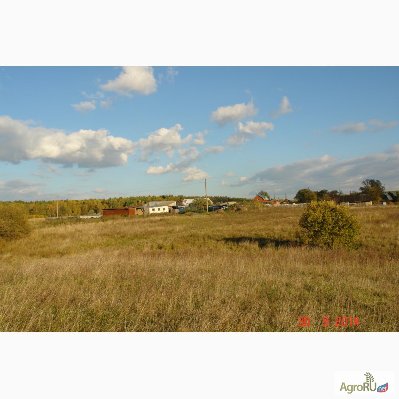 Фото 4. Продается 90ГА земли сельхозназначения с мини-фермой и жилым домом в 250 км от Москвы