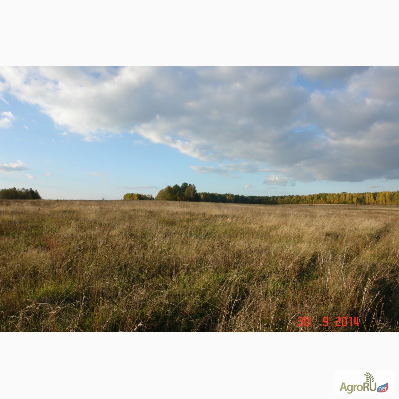 Фото 9. Продается 90ГА земли сельхозназначения с мини-фермой и жилым домом в 250 км от Москвы