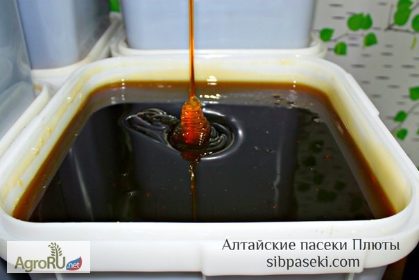 Фото 2. Алтайский мёд и другие продукты пчеловодства