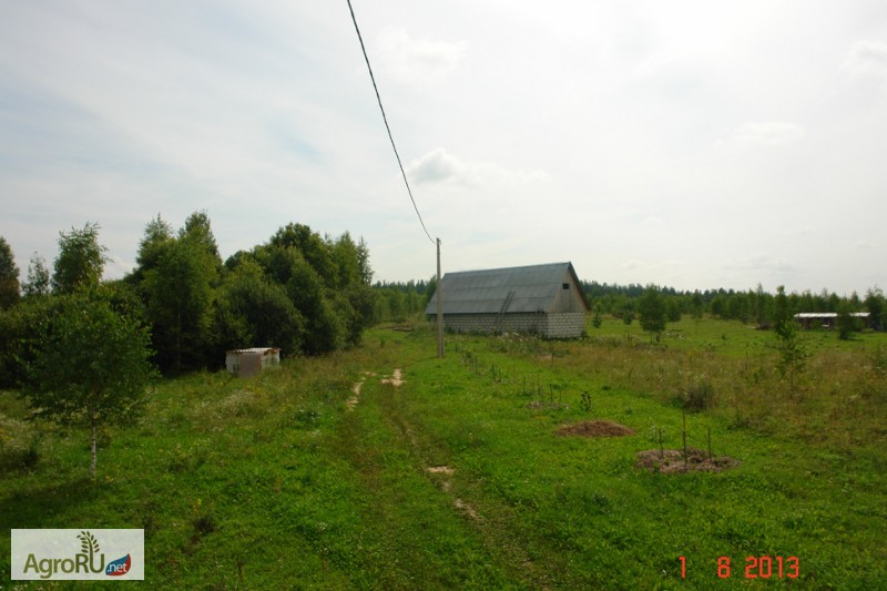 Фото 6. Сдам или продам земельный участок для фермерского хозяйства