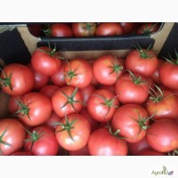 Продам томат пр-ва РБ