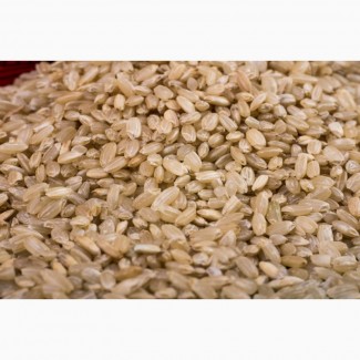 Кубанский рис оптом от завода-производителя по низкой цене