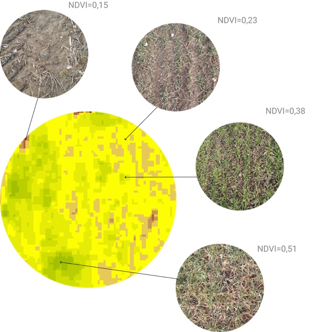 Фото 9. Фактический замер полей, прогноз урожайности, дифференцированное внесение удобрений