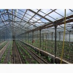 Продаётся хозяйство: тепличный комплекс по выращиванию рассады и овощей