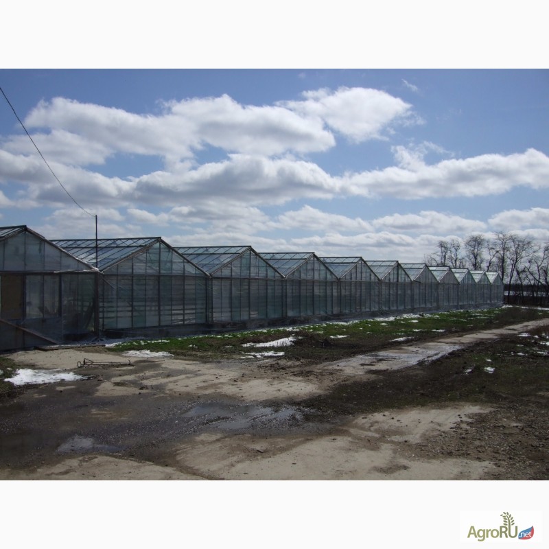 Фото 3. Продаётся хозяйство: тепличный комплекс по выращиванию рассады и овощей