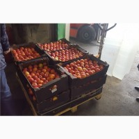 Яблоки оптом калиброванные с садов Кубани