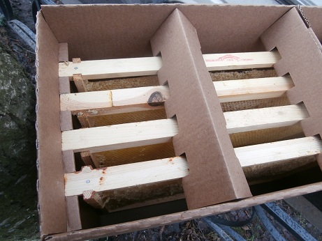 Фото 4. Тара для пчелопакетов (ящики для перевозки пчёл складные) Доставка по РФ