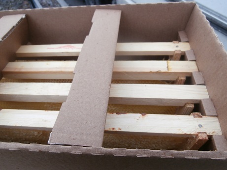 Фото 6. Тара для пчелопакетов (ящики для перевозки пчёл складные) Доставка по РФ