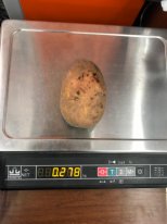 Фото 2. Крупный картофель от 270 гр., сорт Вектор