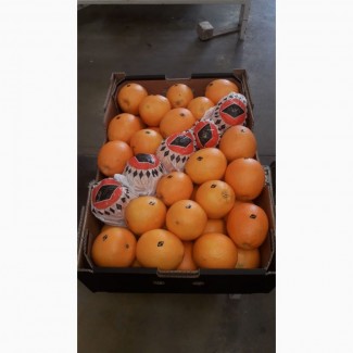 Апельсины, сорт Навель, Марокко