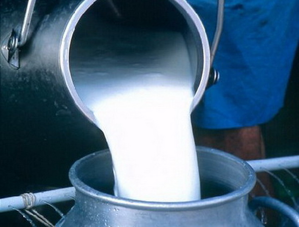 Сырое молоко оптом от производителя