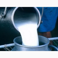 Сырое молоко оптом от производителя