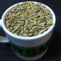 Фуражное зерно- овес, ячмень, пшеница, кукуруза в Смоленской области