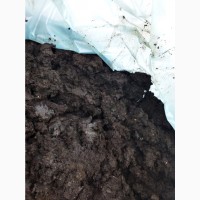 Покровная почва для выращивания шампиньонов