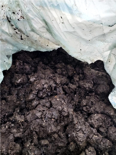 Фото 2. Покровная почва для выращивания шампиньонов
