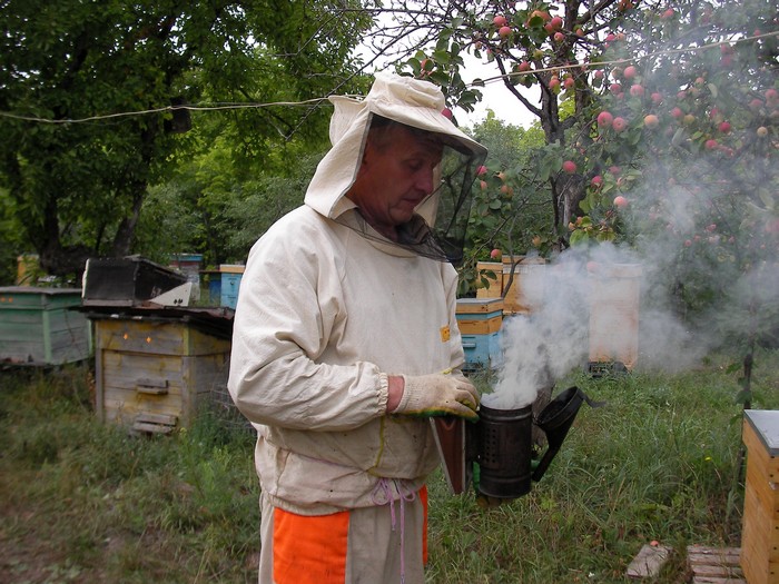 Фото 2. Продаю огнёвку пчелиную(настойка восковой моли 12% на пжвм)