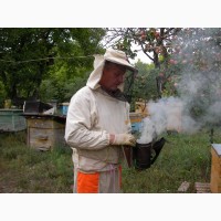 Продаю огнёвку пчелиную(настойка восковой моли 12% на пжвм)