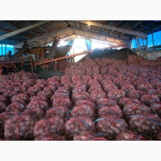 Картофель с доставкой в тюменскую область