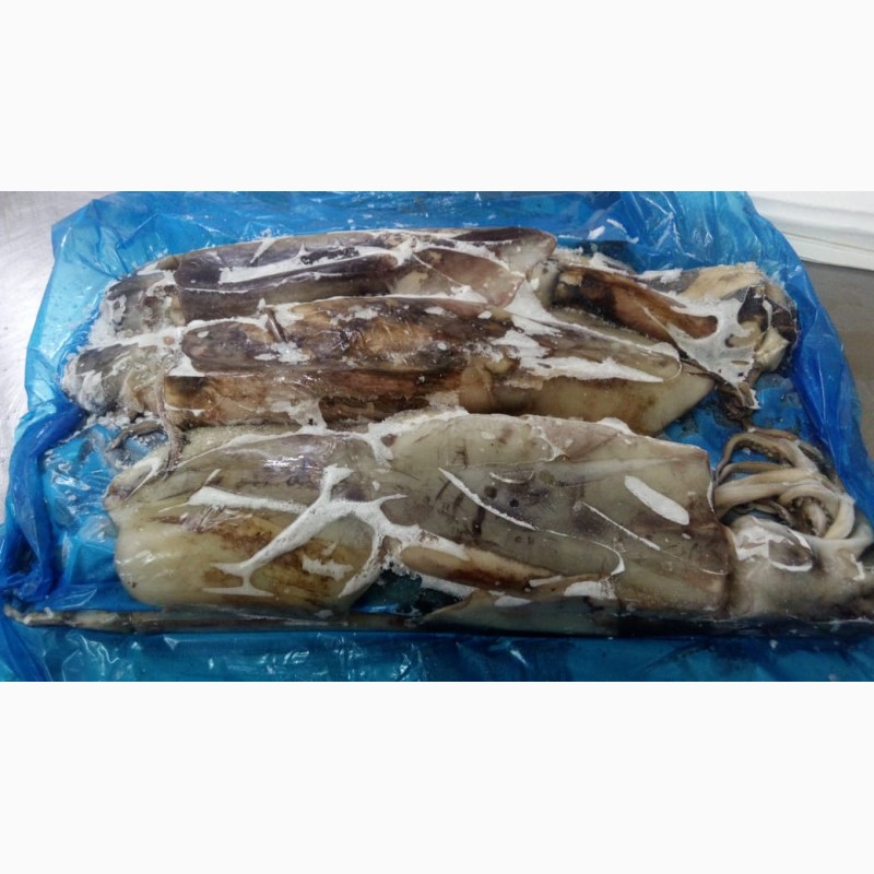 Фото 19. Предлагаем свежую рыбу, кальмары из Аргентины