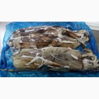 Предлагаем свежую рыбу, кальмары из Аргентины