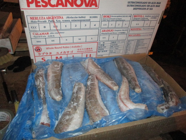 Фото 7. Предлагаем свежую рыбу, кальмары из Аргентины