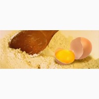 Яичный желток ферментированный (термостабильный)