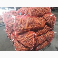 Морковь столовая оптом от 20 тонн в г.Кемерово