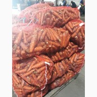 Морковь столовая оптом от 20 тонн в г.Кемерово