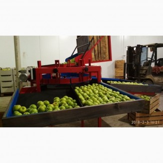 SORTER Линия / машина для калибровки и сортировки яблок и других фруктов и овощей